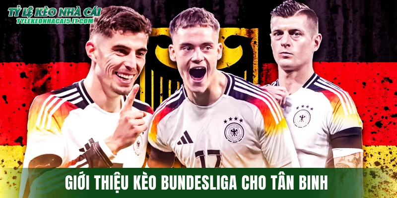 Giới thiệu kèo Bundesliga cho tân binh